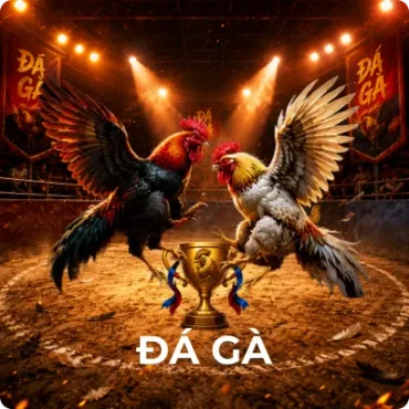 ONE88 Đá gà